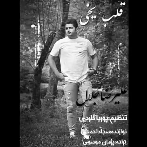 قلب یخی